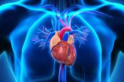 US.FDA: Khuyến cáo thận trọng khi kê đơn thuốc chứa clarithromycin cho bệnh nhân có bệnh lý tim